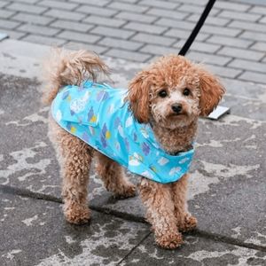 Canada pooch color changing rain jacket size 14